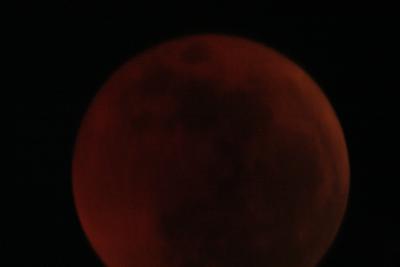 img_8248.jpg